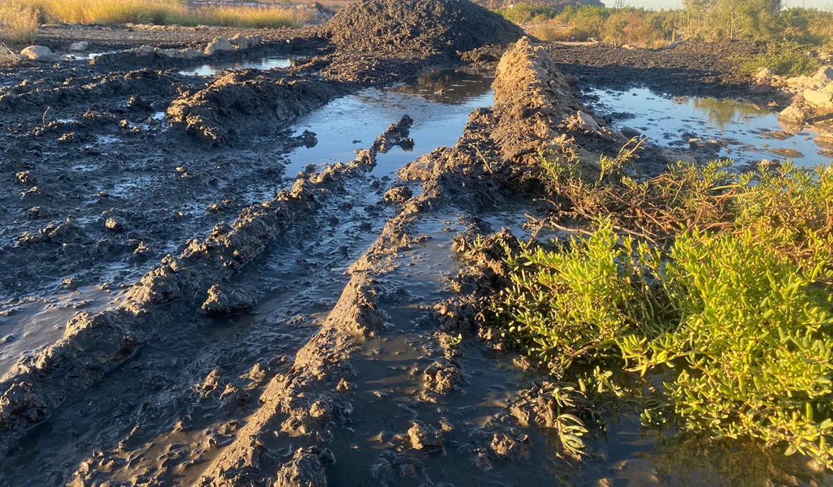 Sorprenden a empresa arrojando aguas negras en zona protegida de Topolobampo