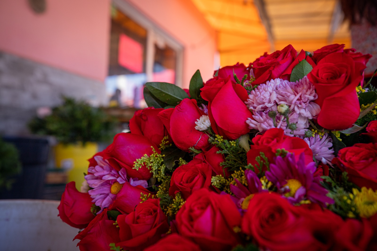 ¡Que no muera el romanticismo! En Guasave floristas acuerdan no subir precio este 14 de febrero