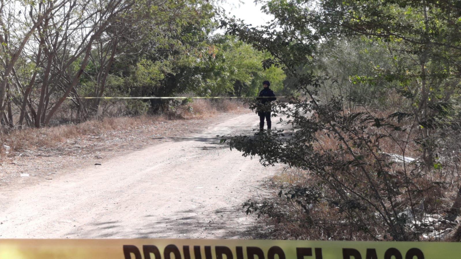 Era de la Constitución Croc el ‘encobijado’ de la isla Musala