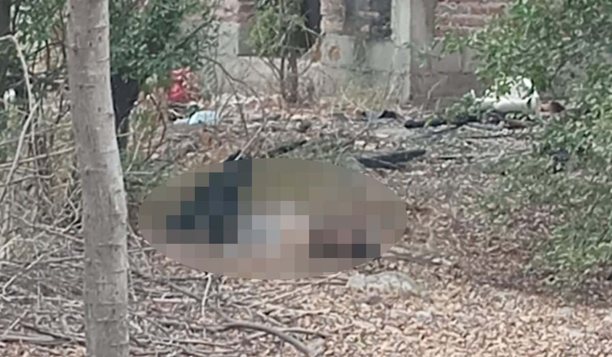Localizan un hombre sin vida dentro de un predio baldío en colonia Cirilo Mena al poniente de Los Mochis