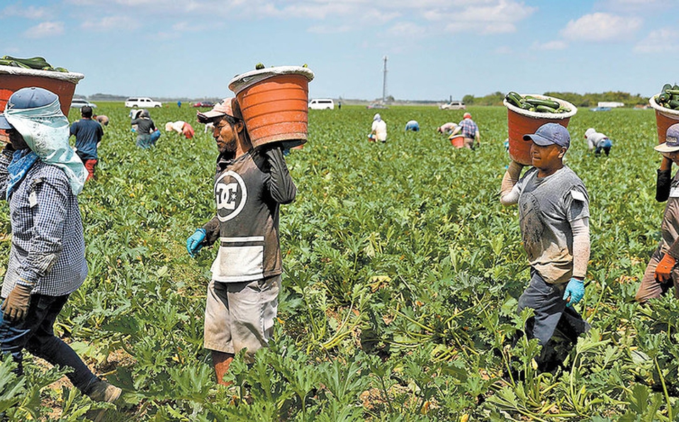 Mexicanos pieza clave en la economía de Estados Unidos, aportan 324 mil mdd: SRE