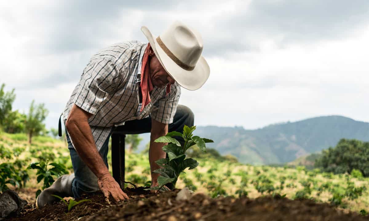 ¡Campesinos y pescadores! Este será el beneficio de las reformas de AMLO en las actividades productivas