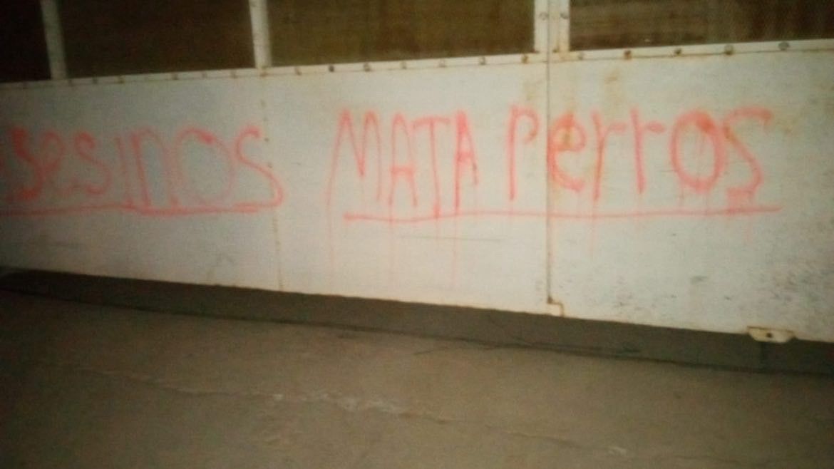 ¡Ahora en Guamúchil! Rayan casa a persona que acusan de envenenar perros y gatos