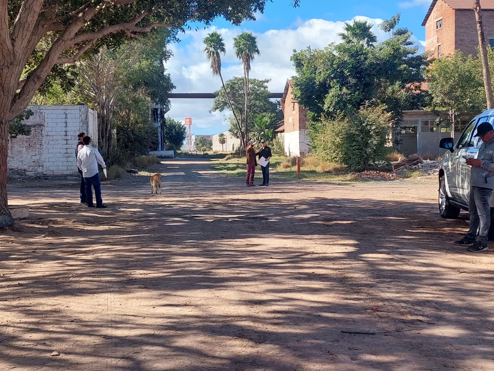 Verifica actuario del Juzgado 6 los vestigios históricos del Ingenio Azucarero; quieren evitar su destrucción