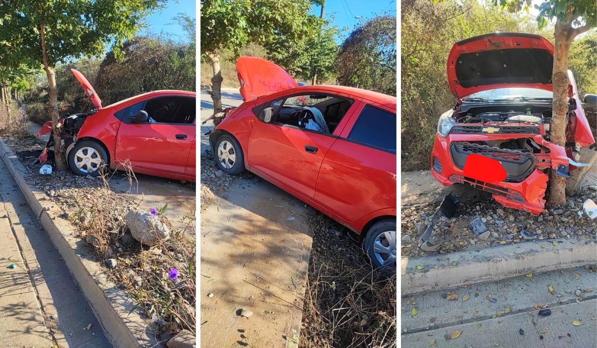 Conductora evita atropellar a un perro, pero termina impactándose contra un árbol en Mazatlán