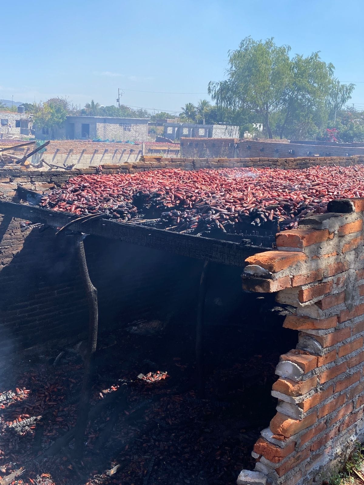 ¡Se quemaban los chiles! Columna de humo alerta a trabajadores en Villa Unión