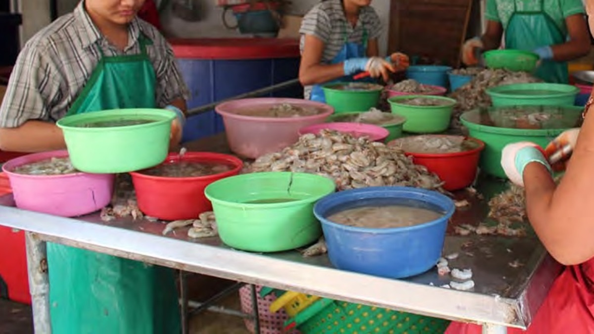 Multan a empacadoras de Escuinapa por tener a menores de edad trabajando