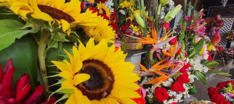 Productores garantizan abasto de flores ornamentales para festejos del 14 de febrero: Agricultura