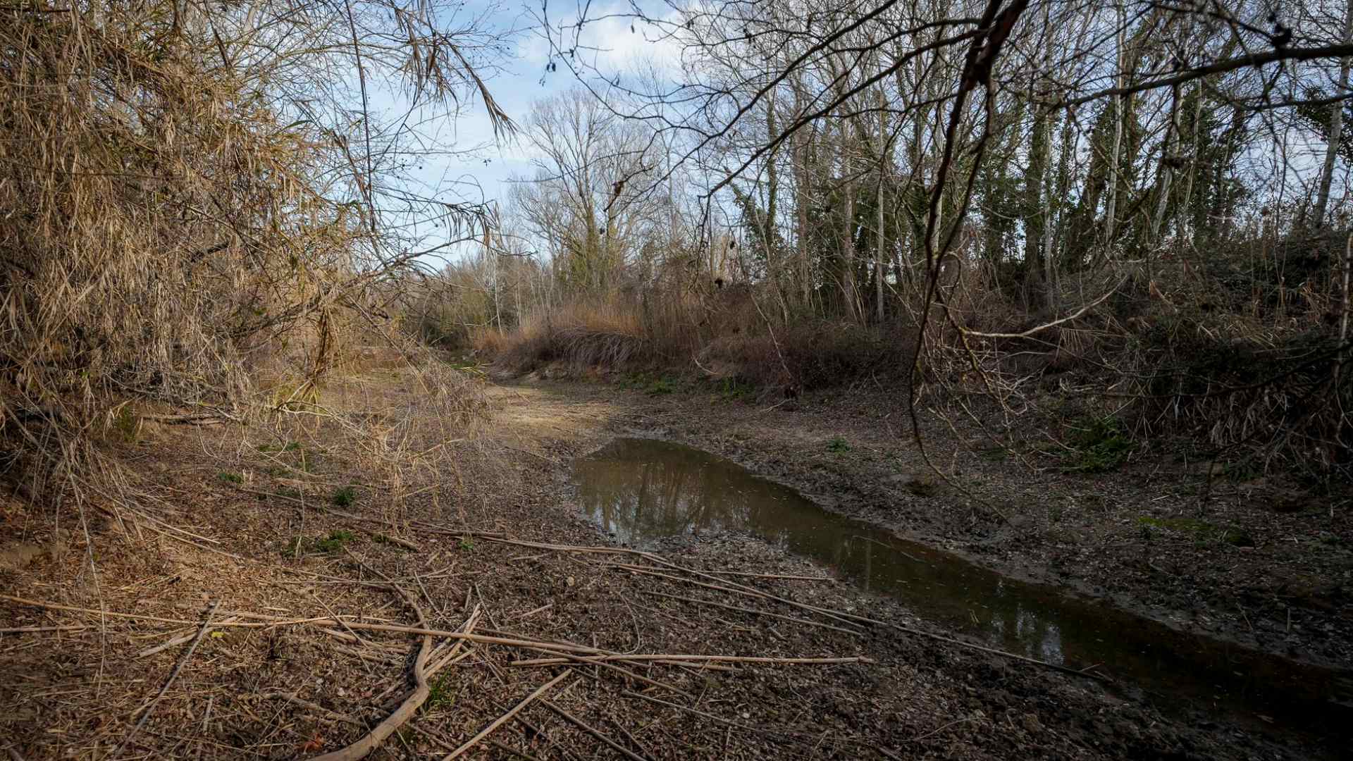 ¡La Niña viene en camino! El fenómeno traerá sequías… pero también lluvias