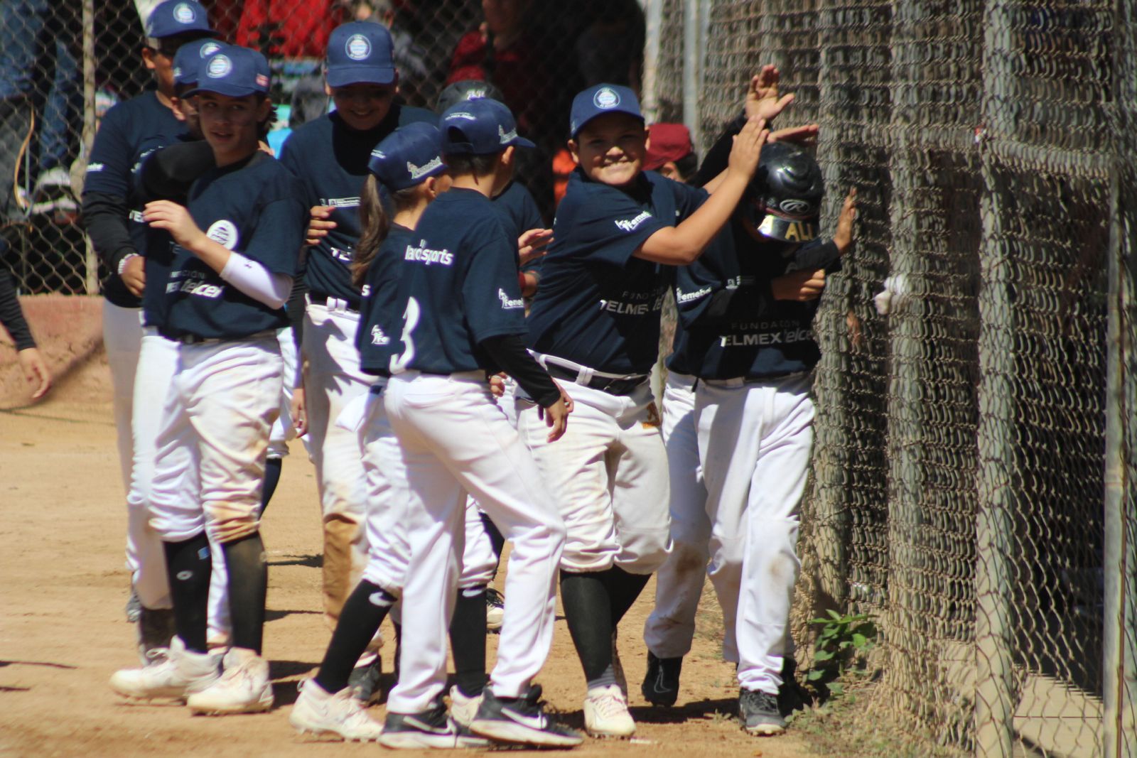Culiacán es campeón invicto en la Liga Telmex de Béisbol 2024