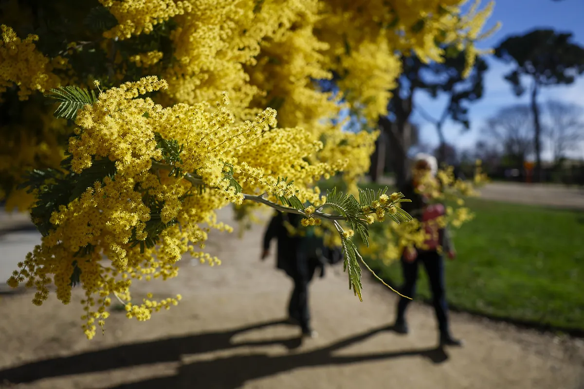 ¡Llegó la Primavera! Meteorológicamente hablando, arranca este primero de marzo