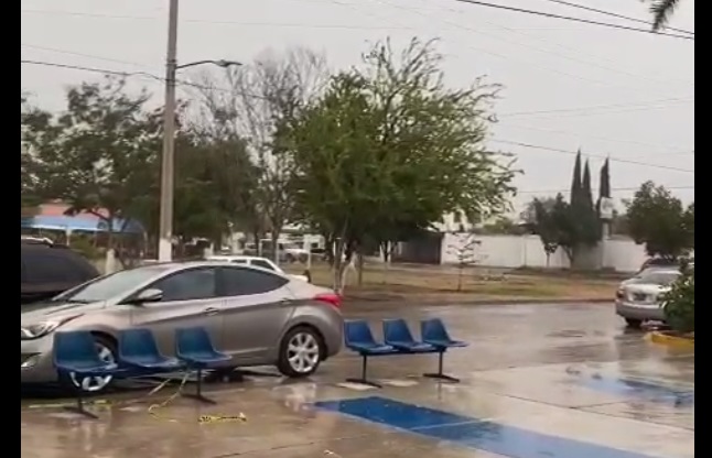 Superan 10.2 mm de lluvia en El Carrizo; piden a frijoleros detenerse en el corte de sus cultivos