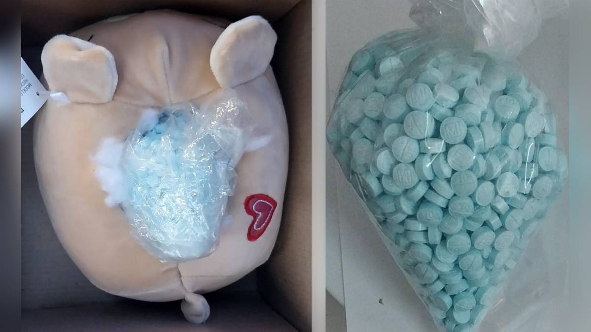 ¡No era regalo, sino fentanilo! Dan con ‘clavo’ dentro de osito de peluche en Mazatlán