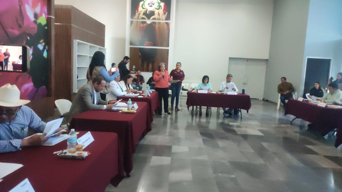 Piden licencia las síndicas de Juan José Ríos, Nío y la síndica procuradora de Guasave