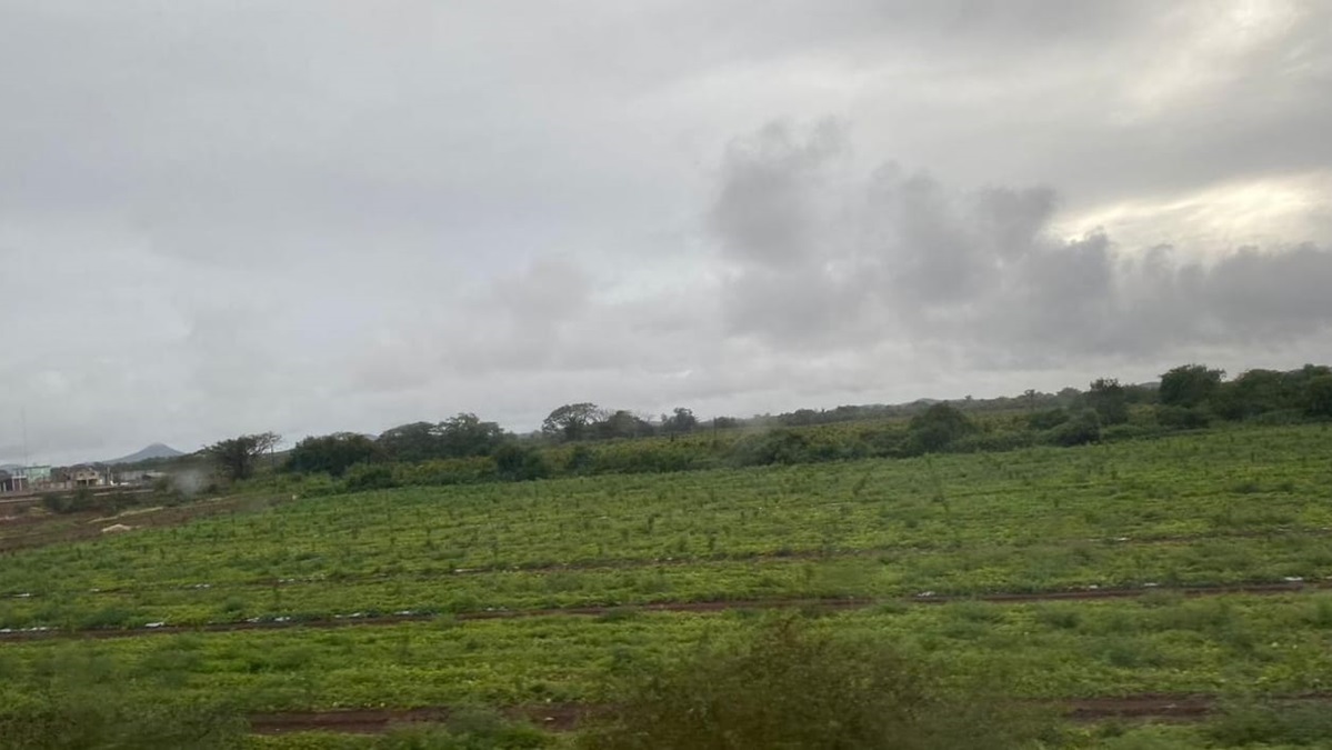 Lluvias en el sur de Sinaloa paralizan labores en los campos agrícolas de Rosario