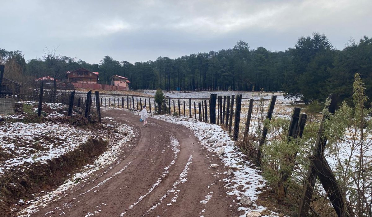 ¡Saque la del tigre! Se pronostican lluvias y caída de nieve en la sierra del norte de Sinaloa