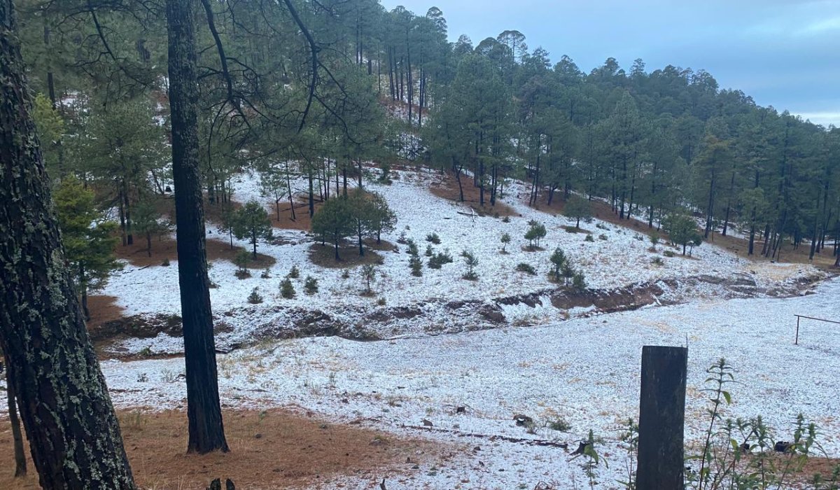 ¡No es Canadá! Cae la primera nevada del año en Badiraguato, Sinaloa y así amaneció