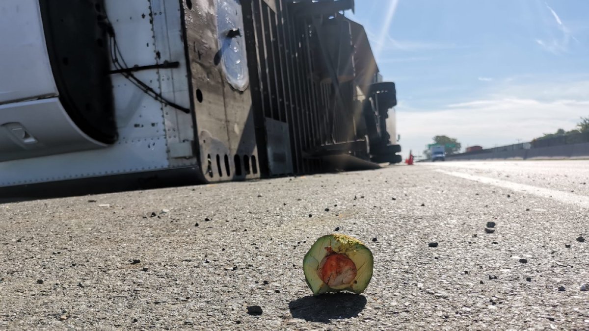 Vuelca tráiler cargado de aguacates sobre la carretera Federal México 15, en Ahome