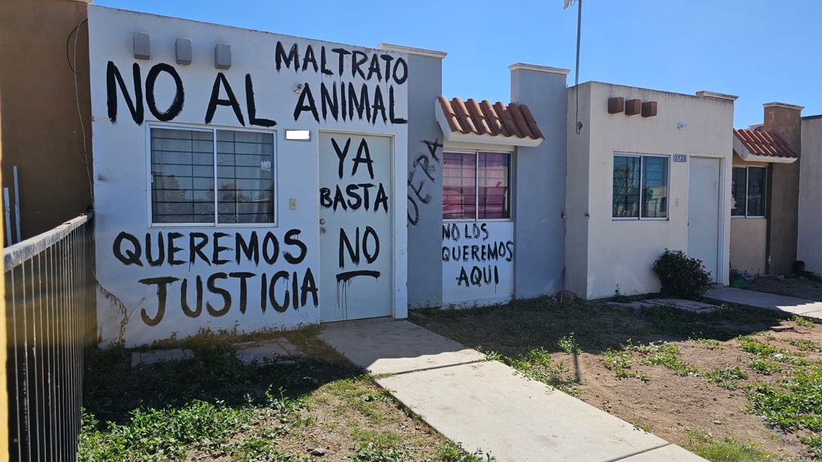 Rayan casa a vecina de Los Mochis y le dejan tres perros muertos acusándola de envenenarlos
