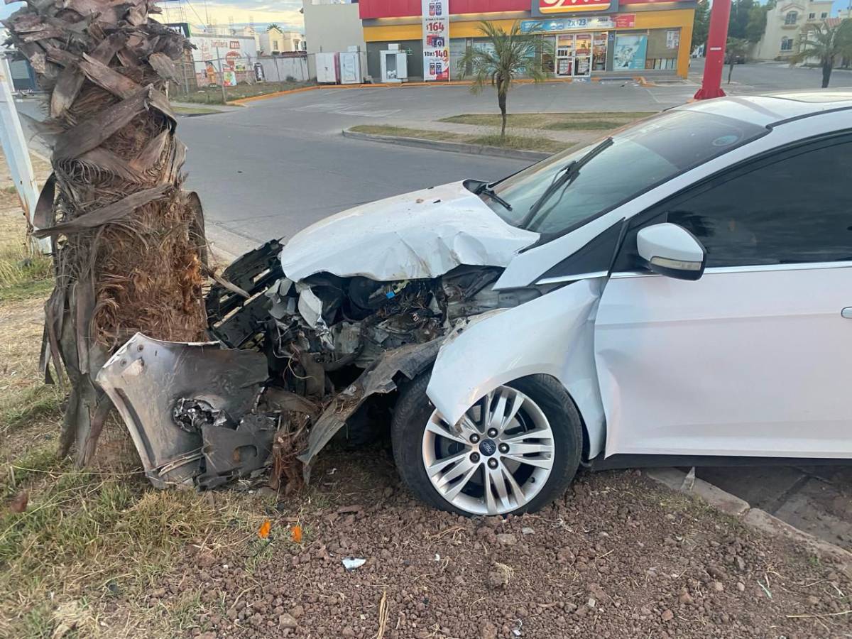 Conduce bajo los influjos del alcohol y se impacta contra una palmera en Los Mochis