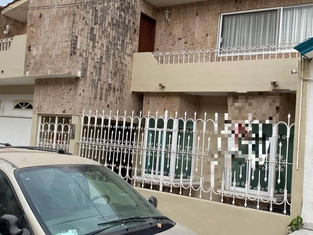 Perrita salta de un techo y queda ensartada en barandal; fue rescatada y atendida en Villa Unión
