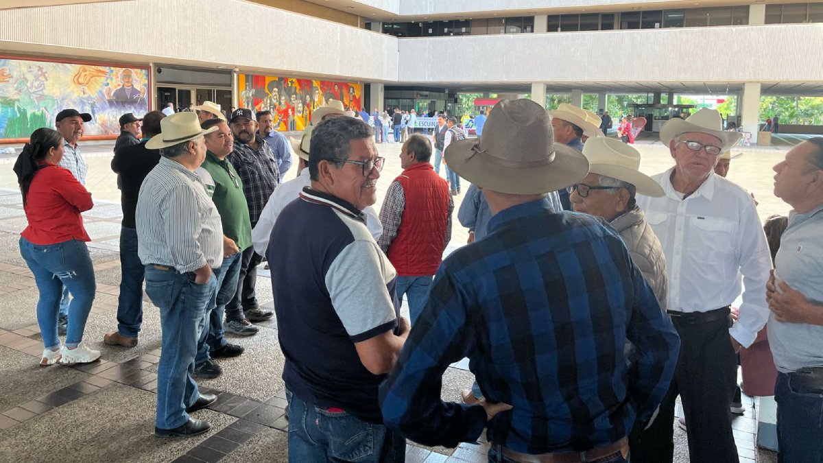 ¡Precios por los suelos! Productores buscan reunión con el Gobernador por un precio justo para el grano