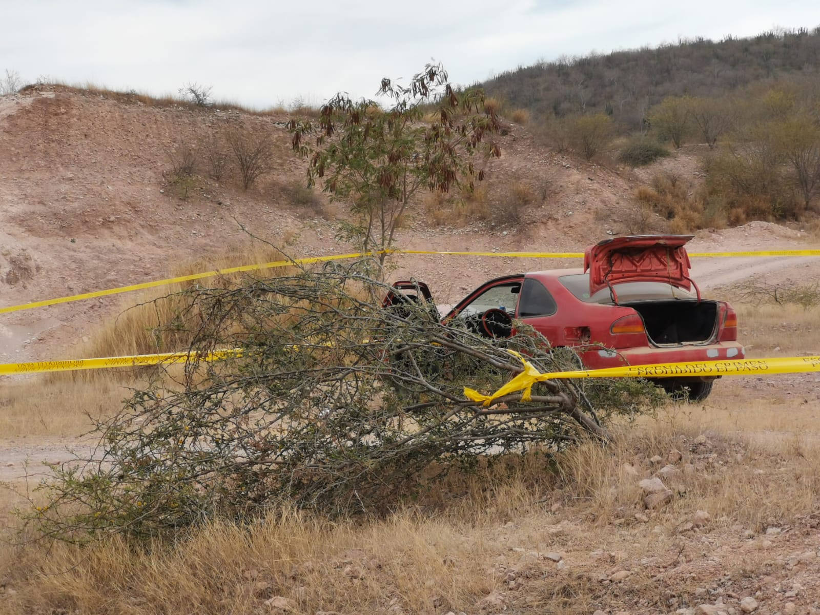 Localizan a una persona sin vida en Macoyahui, El Fuerte