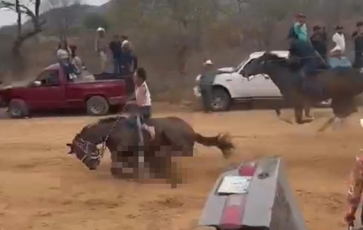 ¡Es menor de edad! Muere el jinete que arrolló a un hombre durante carreras en Choix