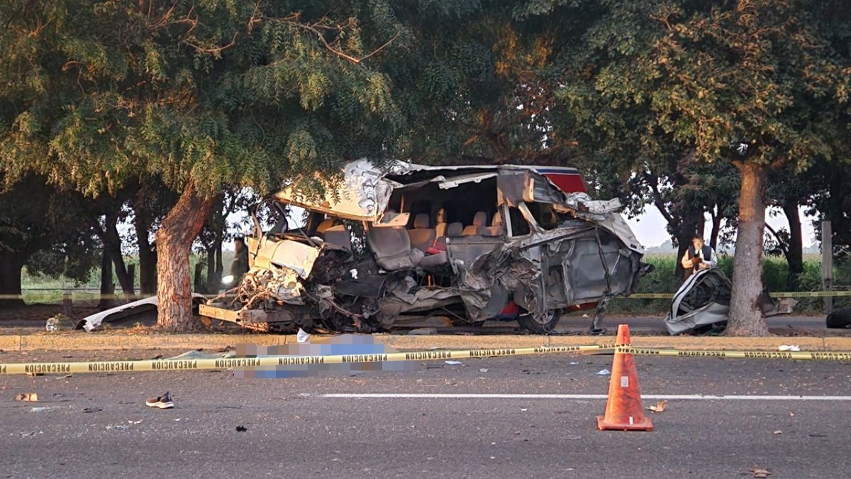 Conductor de camioncito de reparto muere tras impactarse contra un árbol sobre la Culiacán-Navolato