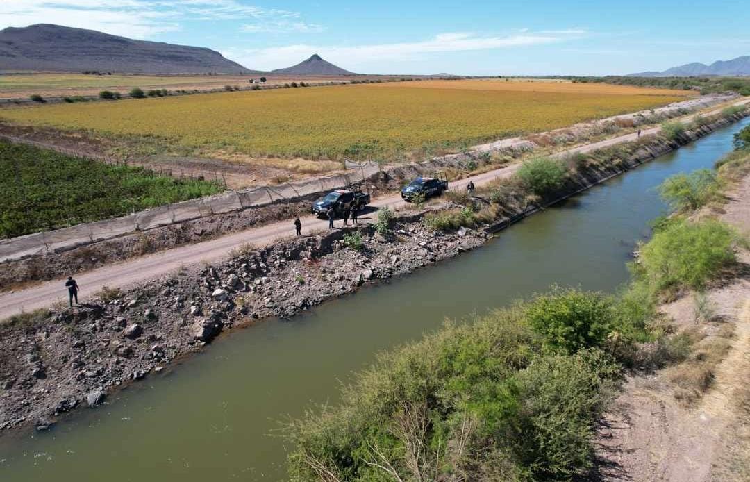 Detectan presencia de cocodrilos en el canal Humaya cerca de Las Tatemitas, en Angostura