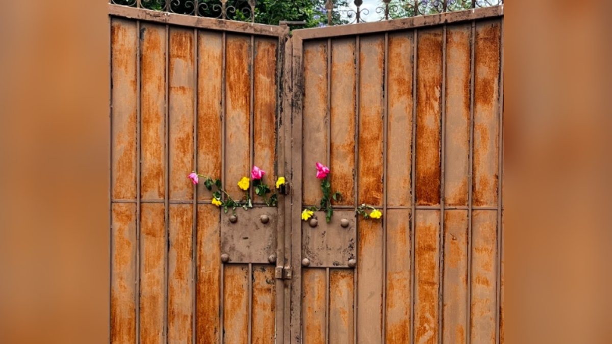 Dejan flores amarillas en puerta de Cuacolandia en memoria de Elena Larrea