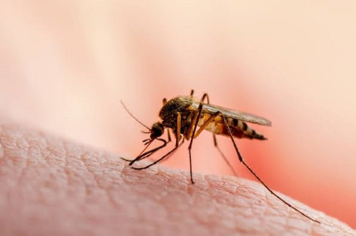 Aumentan los casos de dengue en Los Mochis y en la Villa de Ahome