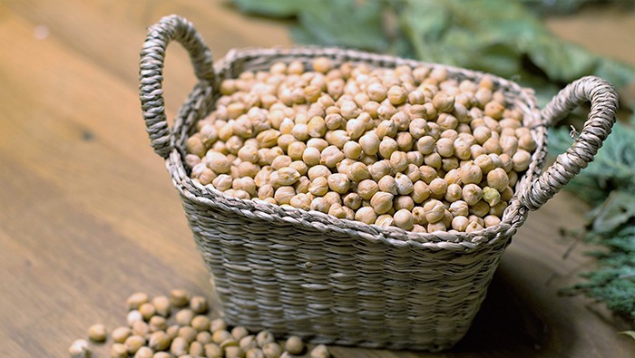 Esperan productores éxito para la comercialización del garbanzo sinaloense y sobre todo se vaya por más mercado