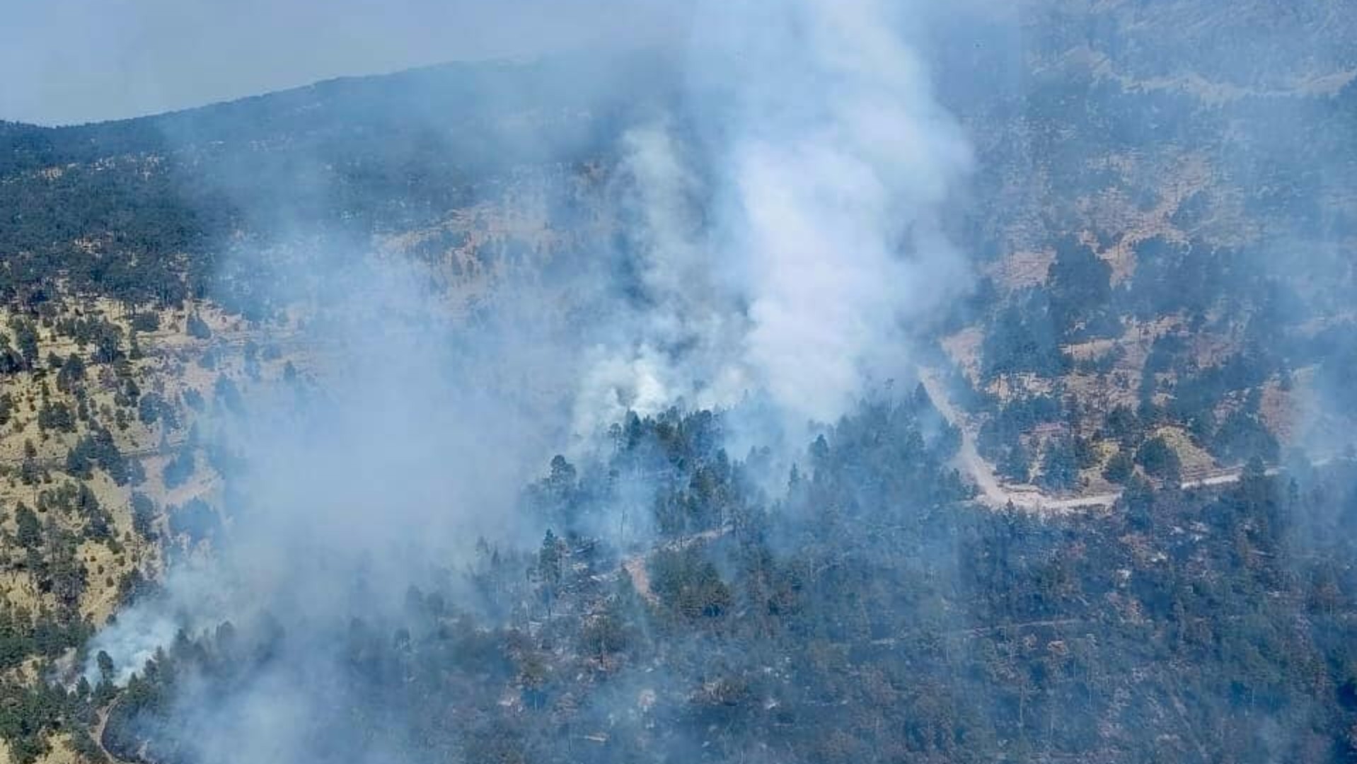 ¡Prevalecen los incendios! Ahora en las faldas del Nevado de Toluca se combate uno