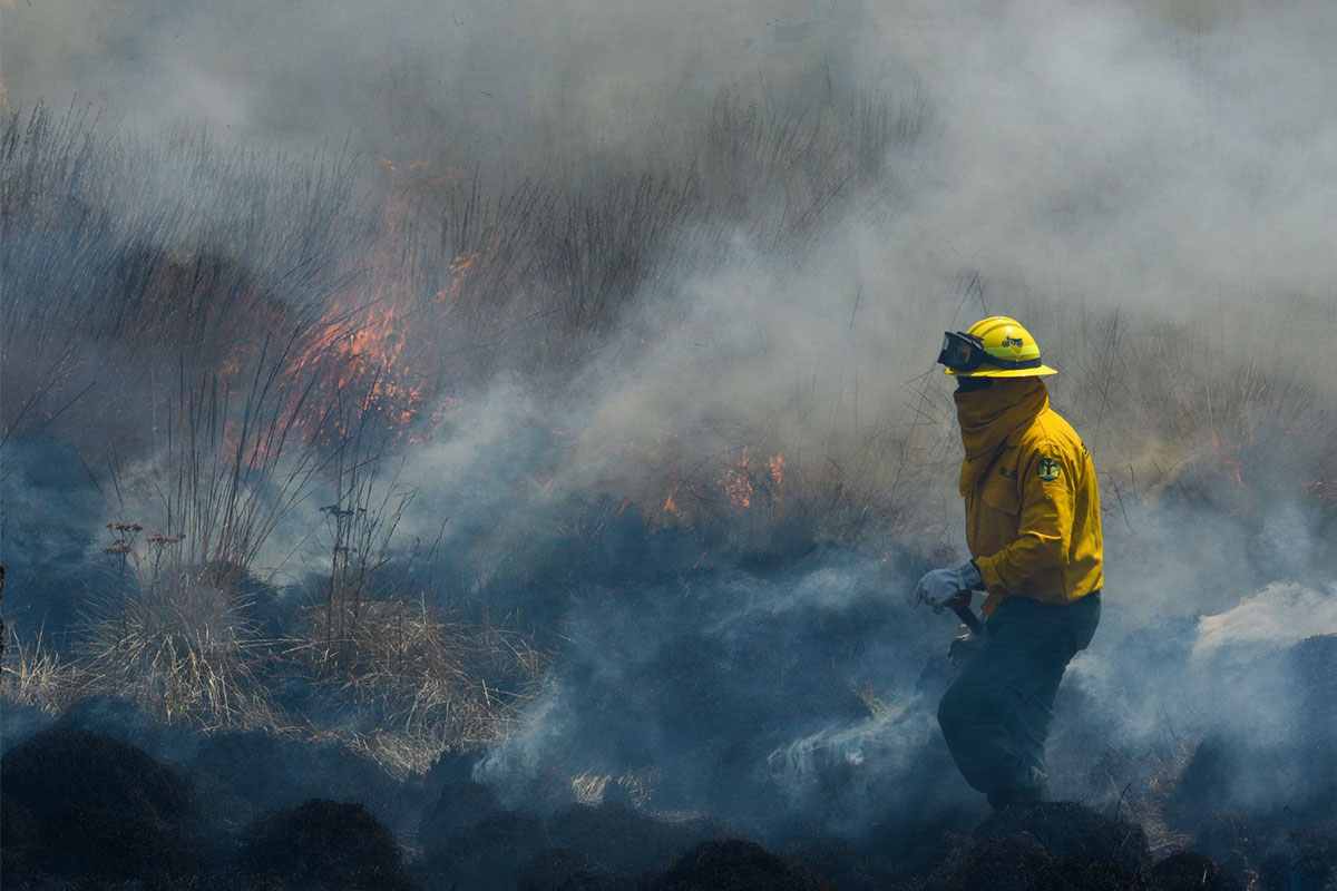 ¡Cero y van…! En una semana, cuatro incendios han ocurrido en Querétaro