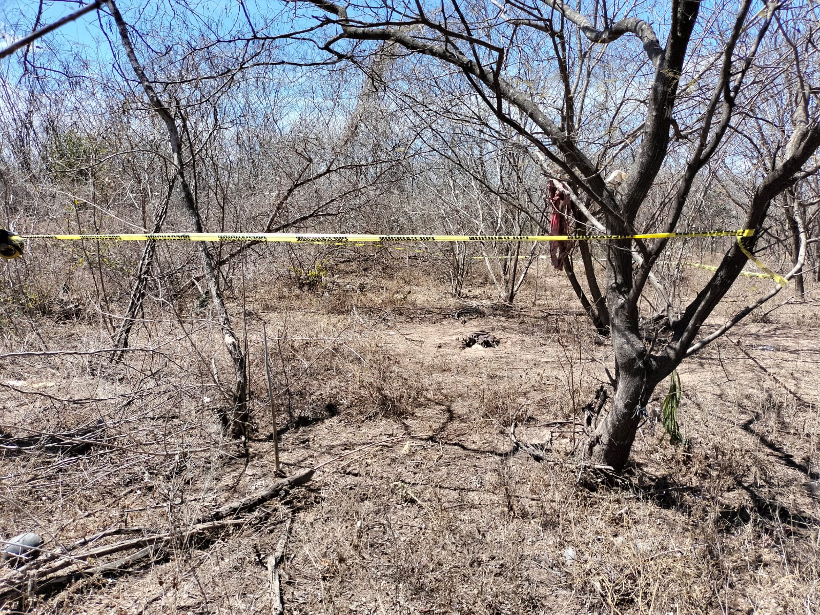 Localizan restos humanos al sur de Culiacán