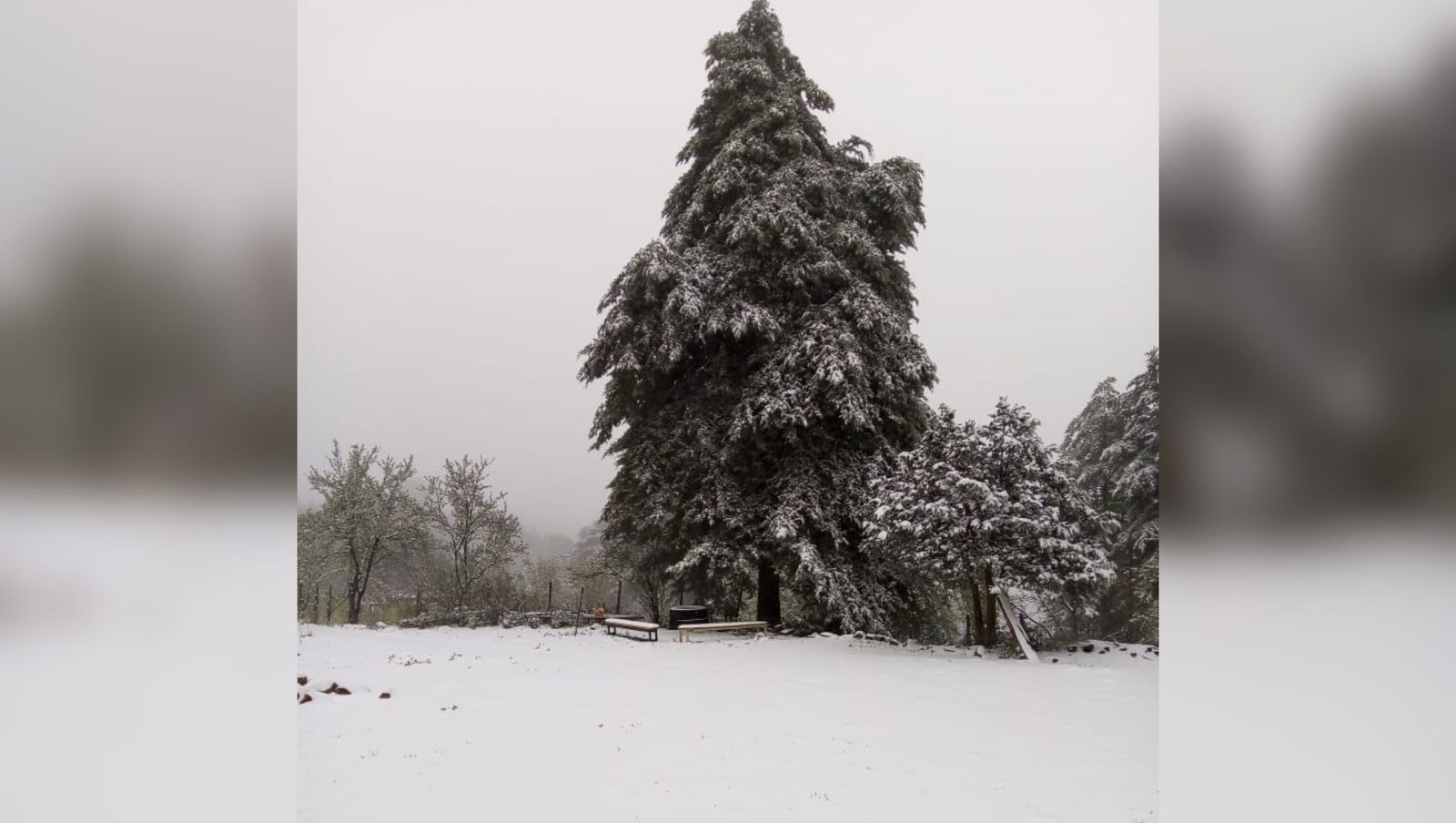 “Nos sigue plumeando, va a seguir nevando”, refieren pobladores de La Tableta, en Choix