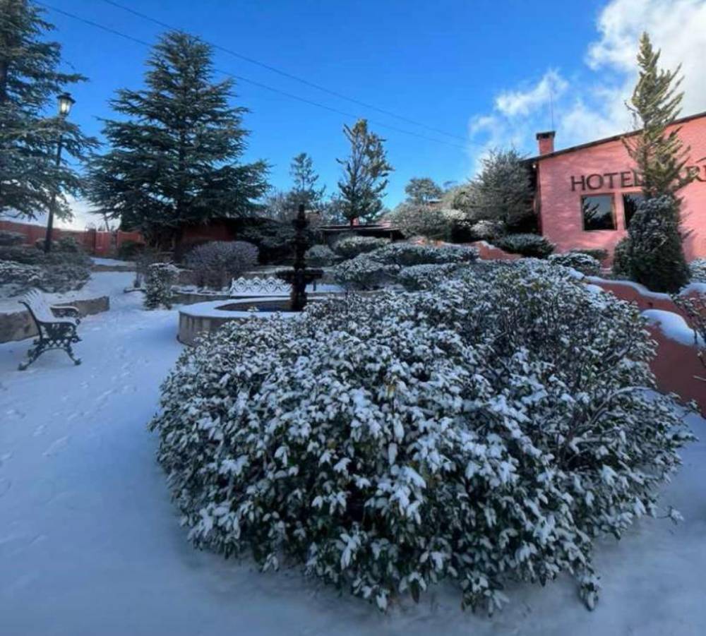 Se pinta de blanco la sierra de Chihuahua; cae intensa nevada en las Barrancas del Cobre