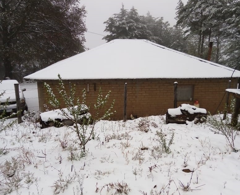 (VIDEO) En Choix, Sinaloa, también cae nieve; comunidades de los altos se pintan de blanco