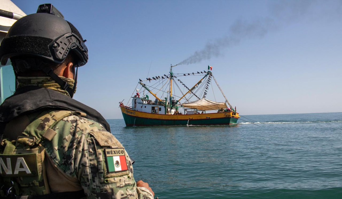 ¡Les cumplen! Pescadores de Topolobampo, Sinaloa, confirman la presencia de operativos para evitar saqueo de camarón en plena veda