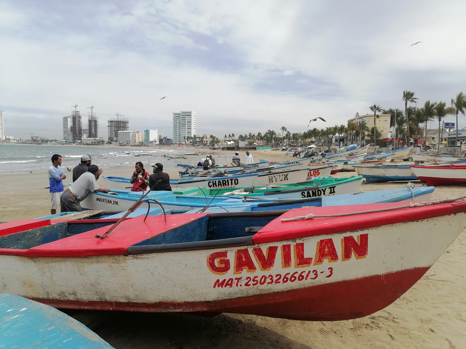 Pescadores de Playa Norte en Mazatlán reportan buena captura de sierra