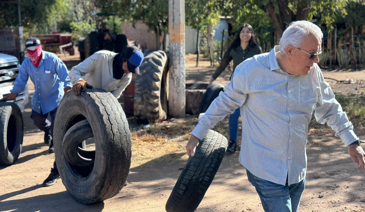 No cesan las campañas en contra del mosco transmisor del dengue en El Fuerte