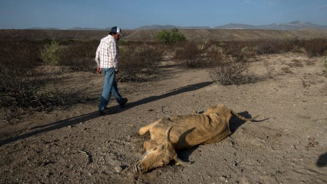 ¡La culpa es nuestra! En el tema de sequías, no todo se lo debemos a la naturaleza