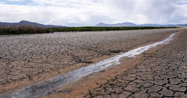Alertan por San Ignacio, Sinaloa de Leyva, El Fuerte y Choix; tendrán la peor sequía en el estado