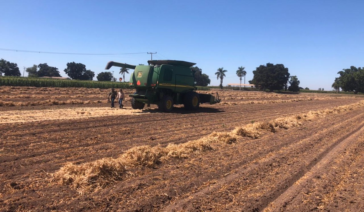 Se pinta incierto aun el panorama del próximo ciclo agrícola; los productores irán ajustados y castigados