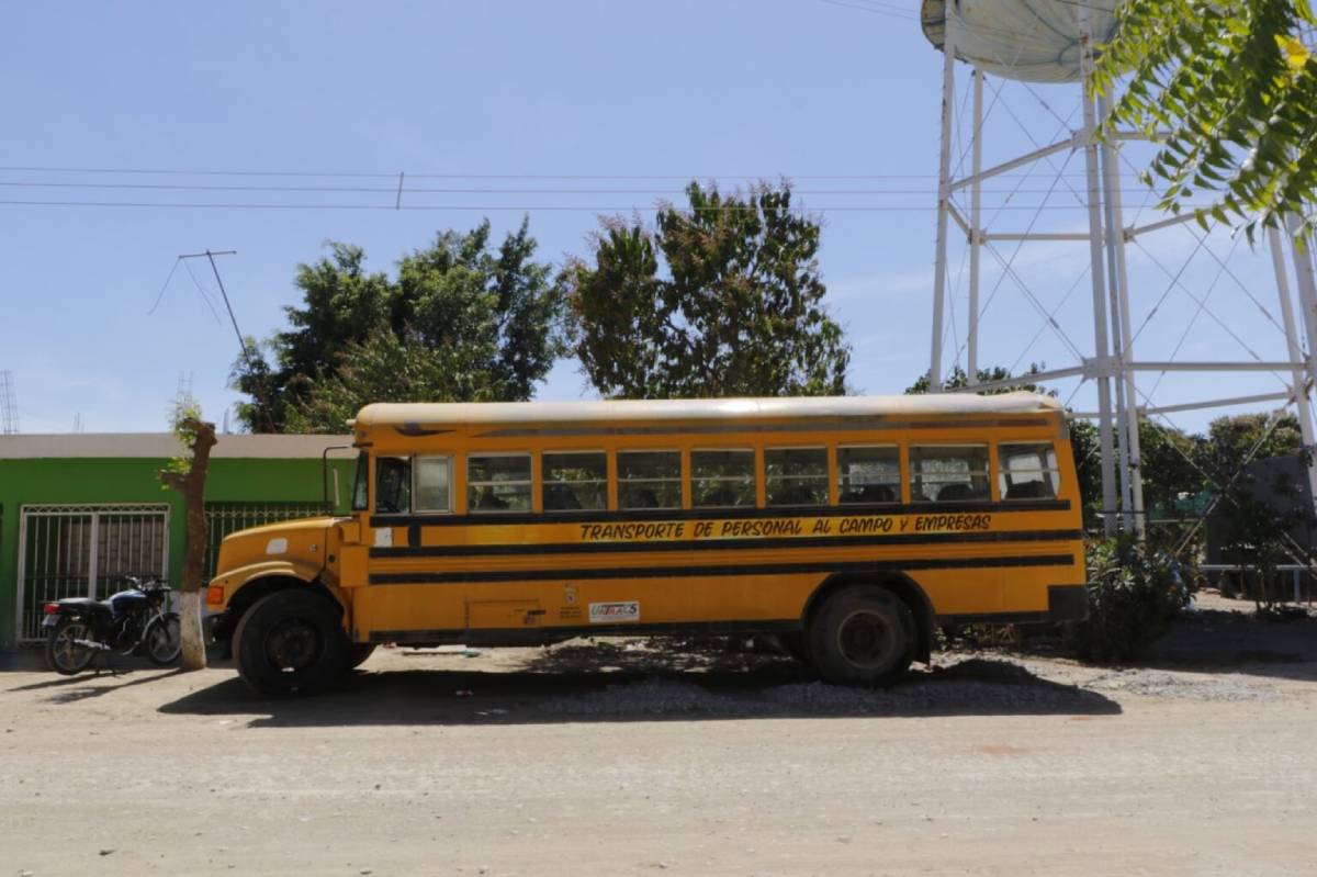 Baja el 45% de la actividad de transporte de personal al campo; comienzan a emigrar a otros estados