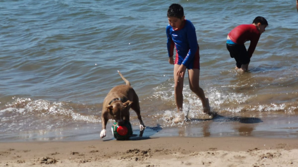¡Vacaciones seguras! Llaman a prevenir accidentes en niñas y niños esta Semana Santa