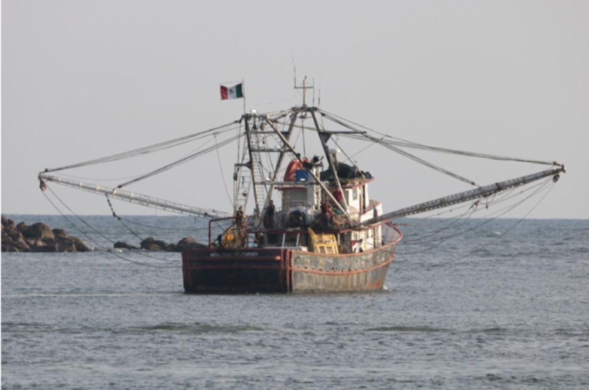 Pescadores de altamar en Topolobampo, Sinaloa, se quedan con mal sabor de boca, tras fijarse fechas del levantamiento de veda del camarón