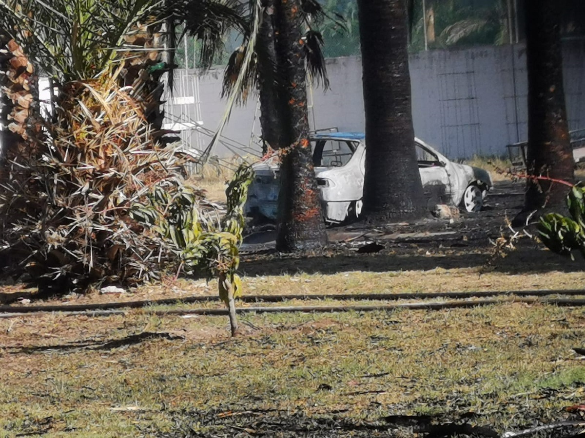 Incendio de palmeras en La Herradura no ocasiono daños a la vegetación del parque Sinaloa