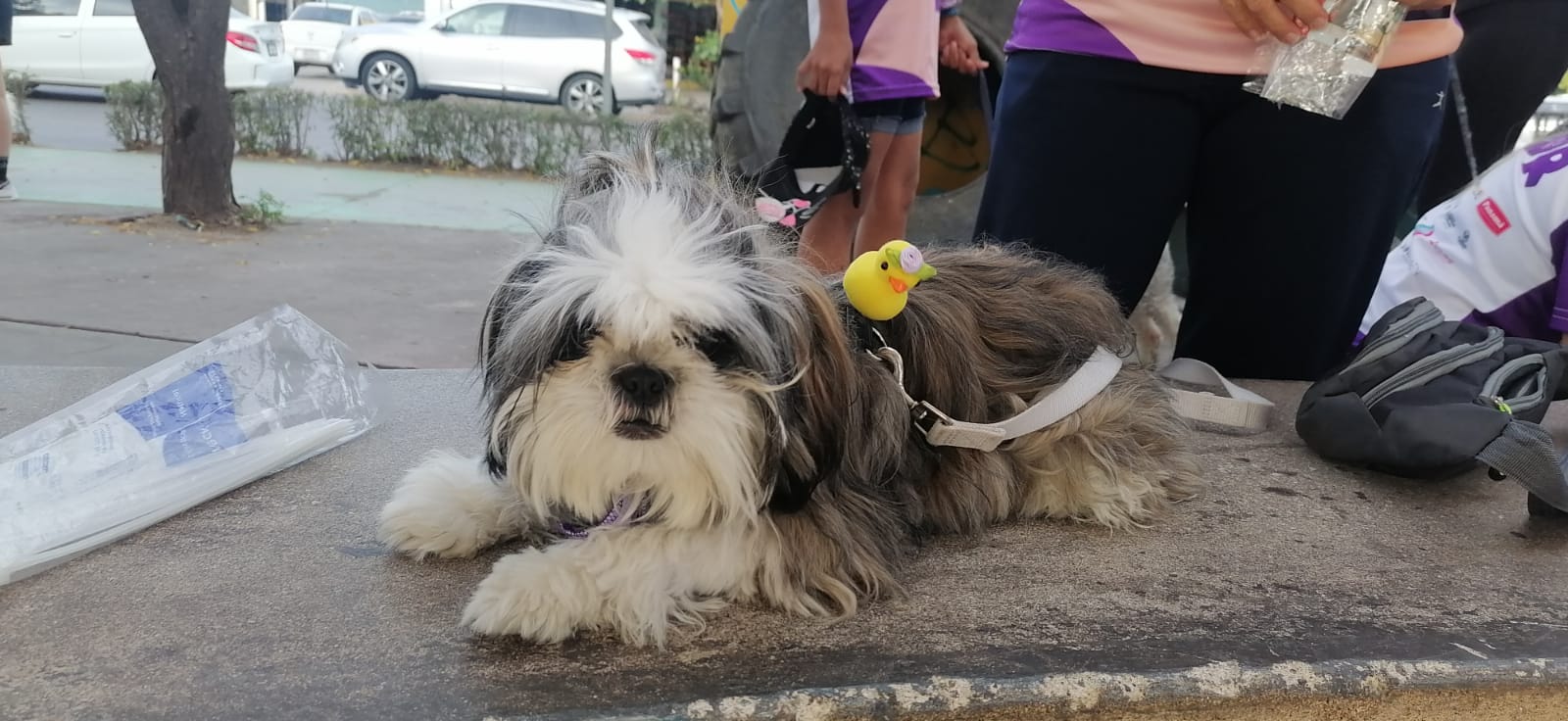 Oliva llega a la moda con un patito de broche en su pelo a la Canrrera 2024 Mazatlán
